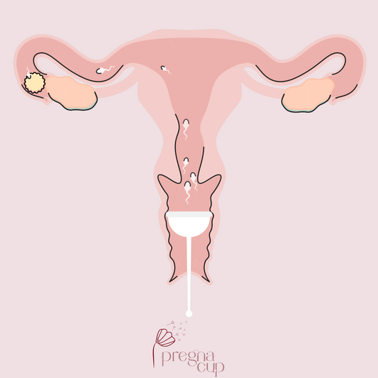 ✨ Discover the power of Pregnacup! 💞👶
